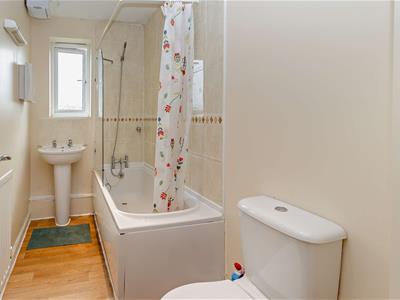 Picture 10